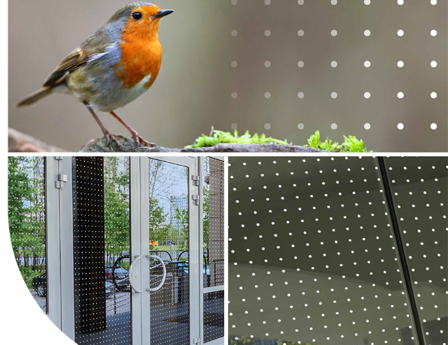 Bird-friendly window film applications