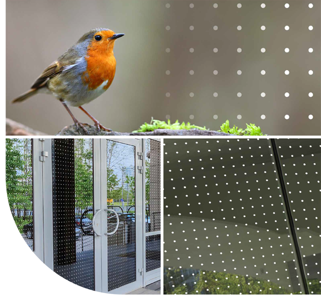 Bird-friendly window film applications